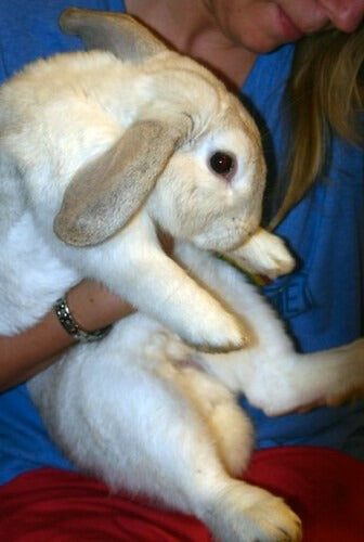 Farms are cool. So is Widespread Panic.