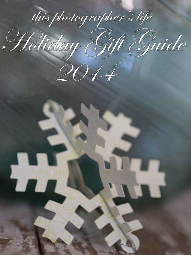 Holiday Gift Guide: 2014